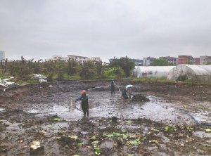 南和河道鱼塘清淤